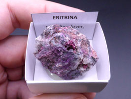 LOW 566 - ERITRINA