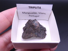 LOW 1407 - TRIPLITA