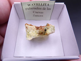 LOW 1437 - WAVELLITA