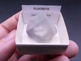 LOW 1521 - FLUORITA