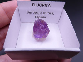 LOW 443 - FLUORITA