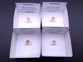 LOW 5 - SCHEELITAS