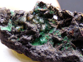 223A - ATACAMITA