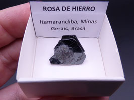 LOW 59 - ROSA DE HIERRO