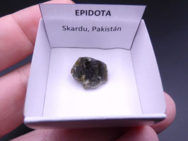 LOW 1160 - EPIDOTA
