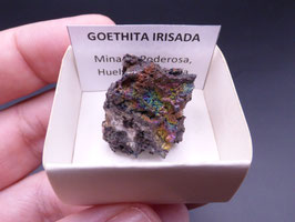 LOW 185 - GOETHITA IRISADA