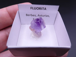 LOW 444 - FLUORITA