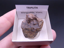 LOW 1351 - TRIPLITA