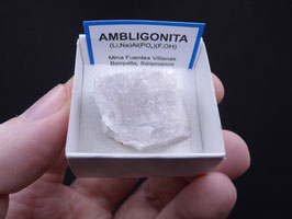 LOW 2253 - AMBLIGONITA