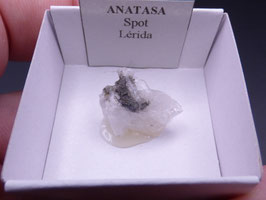 LOW 1463 - ANATASA