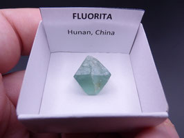 LOW 693 - FLUORITA