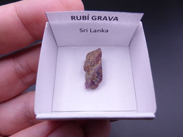 LOW 538 - RUBÍ GRAVA
