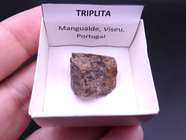 LOW 1409 - TRIPLITA