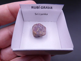 LOW 520 - RUBÍ GRAVA