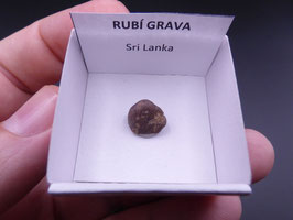 LOW 553 - RUBÍ GRAVA
