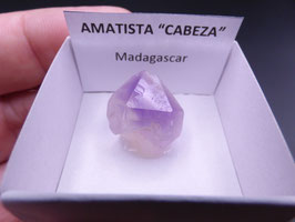 LOW 470 - AMATISTA