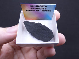 LOW 1269 - SHUNGITA