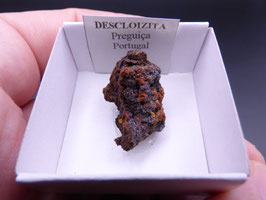 LOW 1363 - DESCLOIZITA