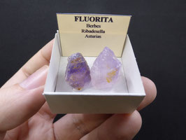 LOW 841 - FLUORITA