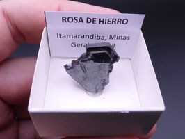 LOW 96 - ROSA DE HIERRO