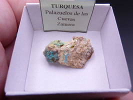 LOW 1385 - TURQUESA