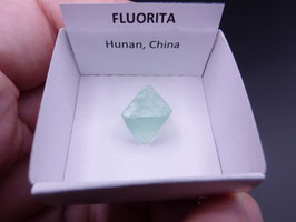 LOW 699 - FLUORITA