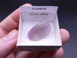 LOW 1525 - FLUORITA