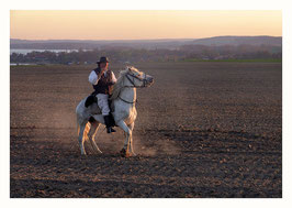 Reiter in der Uckermark