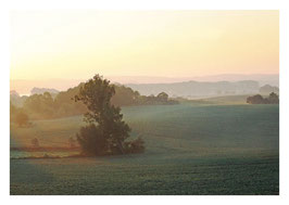 Herbstmorgen bei Fergitz