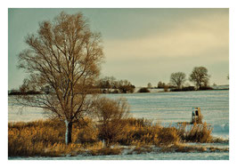 Kupferner Wintermorgen