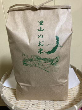 矢良巣米（ヤラスまい）