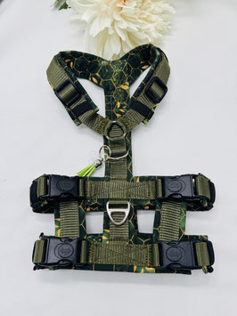Sicherheitsgstältli Hexa grün mit Goldkorn  - Olive
