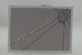 HW933, Postkarte Spinnwebe