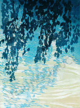 Laub über Wasser 13