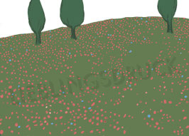 PS: Sommerwiese
