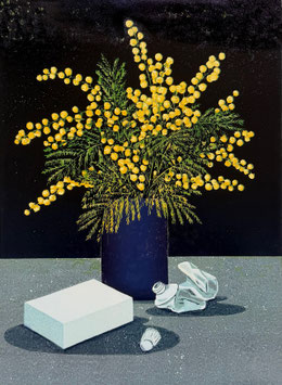 Schöner putzen 4 - Mimosen