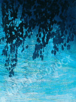 Laub über Wasser 17