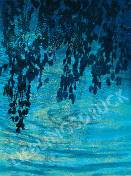 Laub über Wasser 14