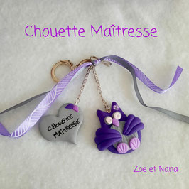 Chouette Maitresse... Porte clé bijou de sac... violet et gris