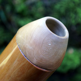 Didgeridoo Stix C# von Robbie Hantelmann (Holzart Eukalyptus)