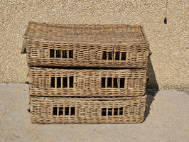 Cesta (sp.s.)