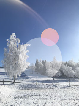 Postkarte Winter