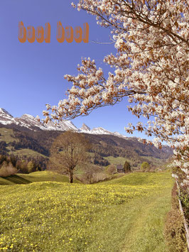 Postkarte Baci Baci