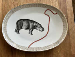 Platte Nilpferd