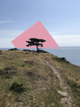 Postkarte Sweden