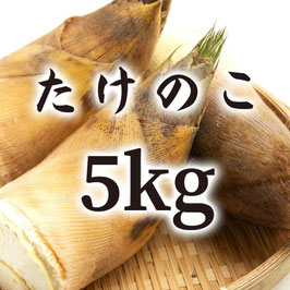 ひかりのたけのこ5kg ご予約受付中【4月中頃より収穫開始します】