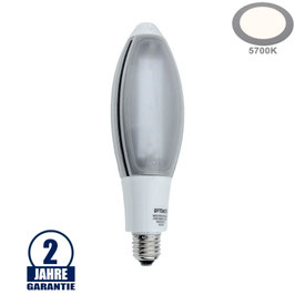 25W LED E27 Kolbenlampe Kunststoff Kaltweiß