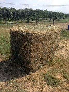 Rete per fieno alta qualità per balle rettangolari 120*120*200 cm