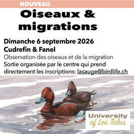 PARTENARIAT inscriptions directes chez BL via: lasauge@birdlife.ch