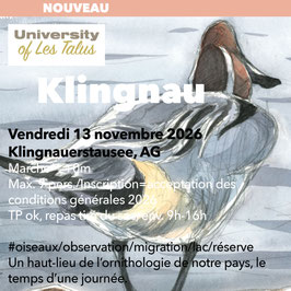 UNItalus, UN JOUR  Vendredi 13 novembre 2026, Klingnau